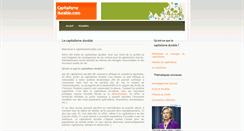 Desktop Screenshot of capitalismedurable.com